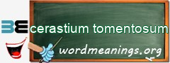 WordMeaning blackboard for cerastium tomentosum